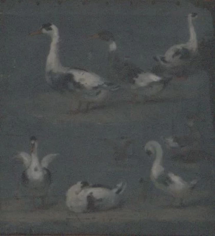 Studio delle anatre - dal Saint, Cloud, museo Avelines